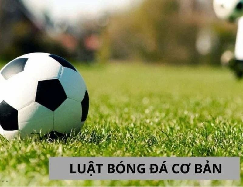 Tổng hợp tất cả luật trong bóng đá cơ bản